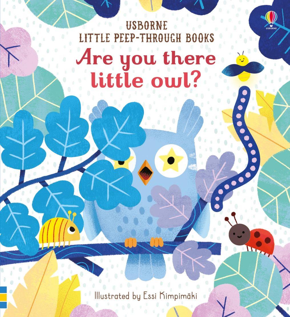 Little Peep-Through Books: Are you there little Owl?