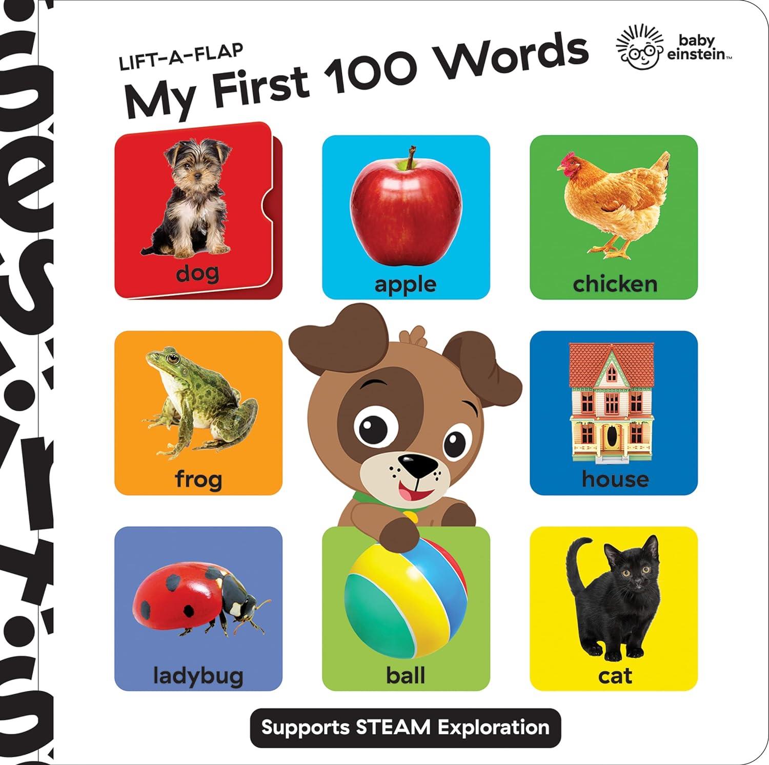 Baby Einstein: Lift A Flap My First 100 Words