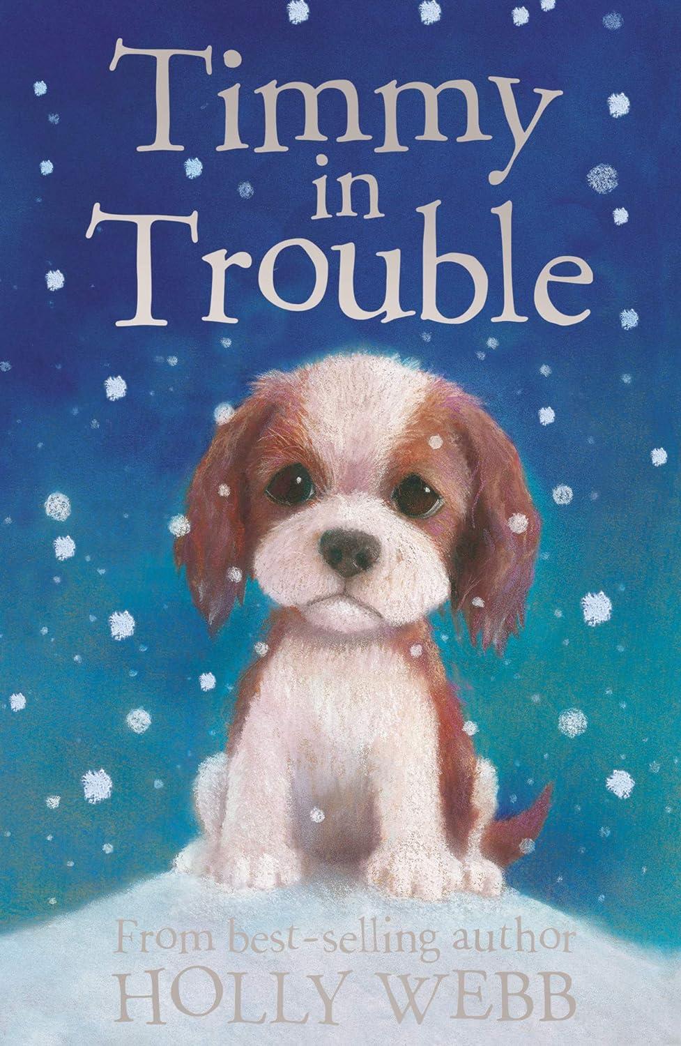 Holly Webb Animal Stories: Timmy in Trouble