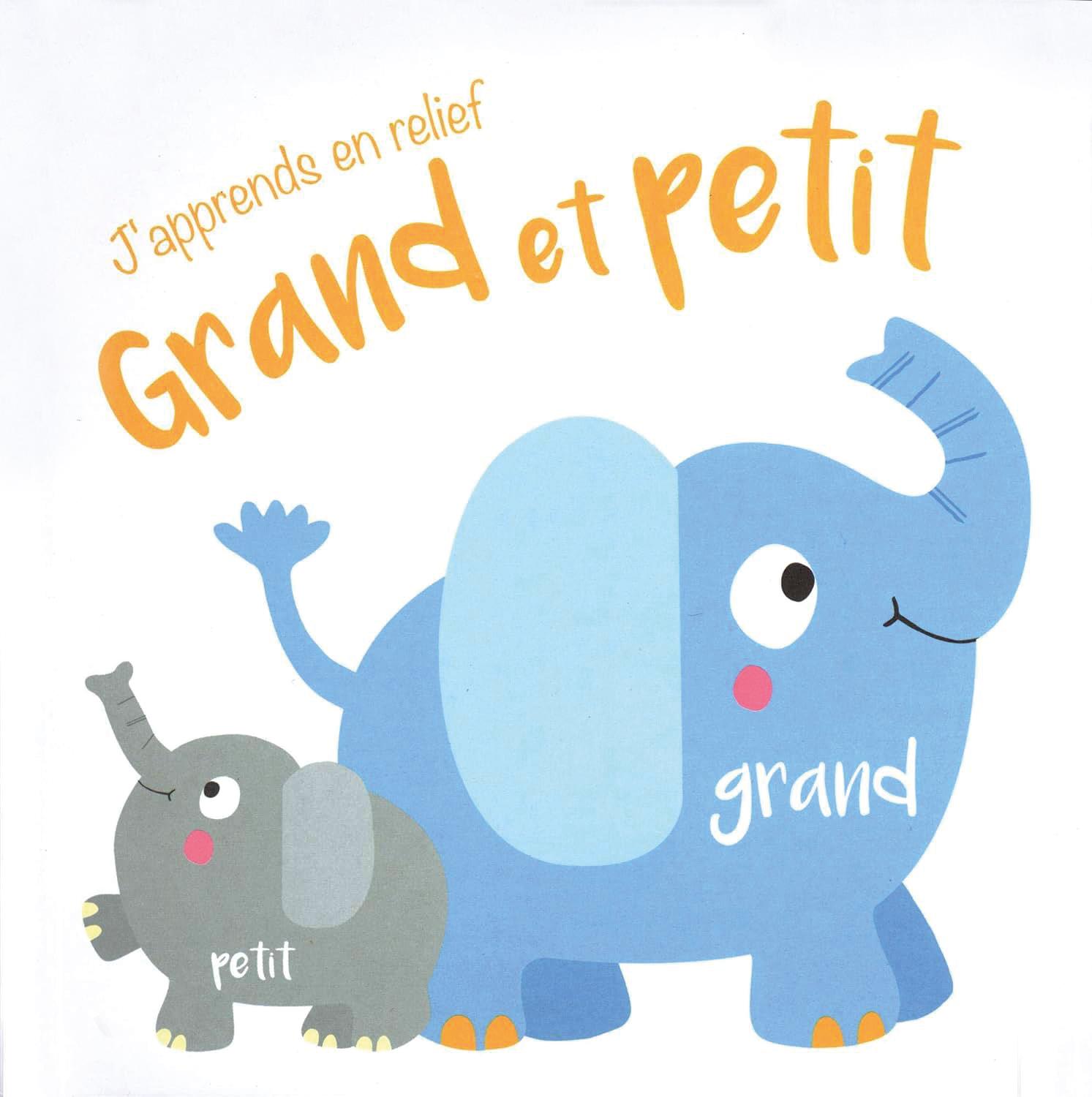 Japprends en relief - Grand et petit - 9789463604550 - 9789463604550
