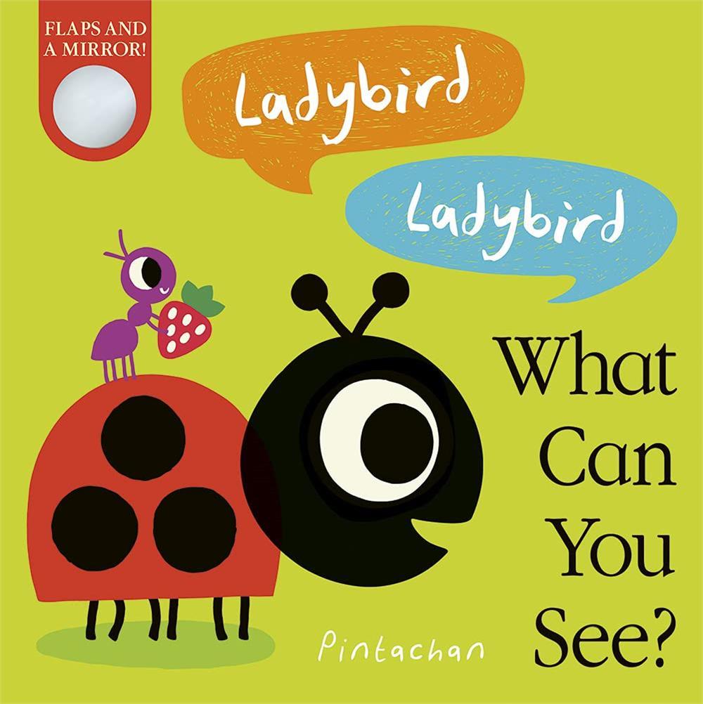 What Can You See?: Ladybird! Ladybird!