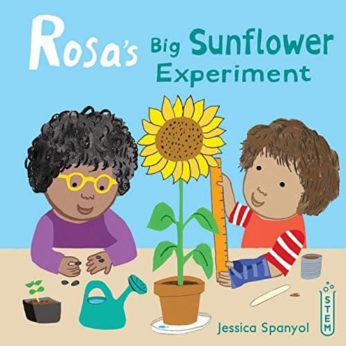 Rosa's Big Sunflower Experiment