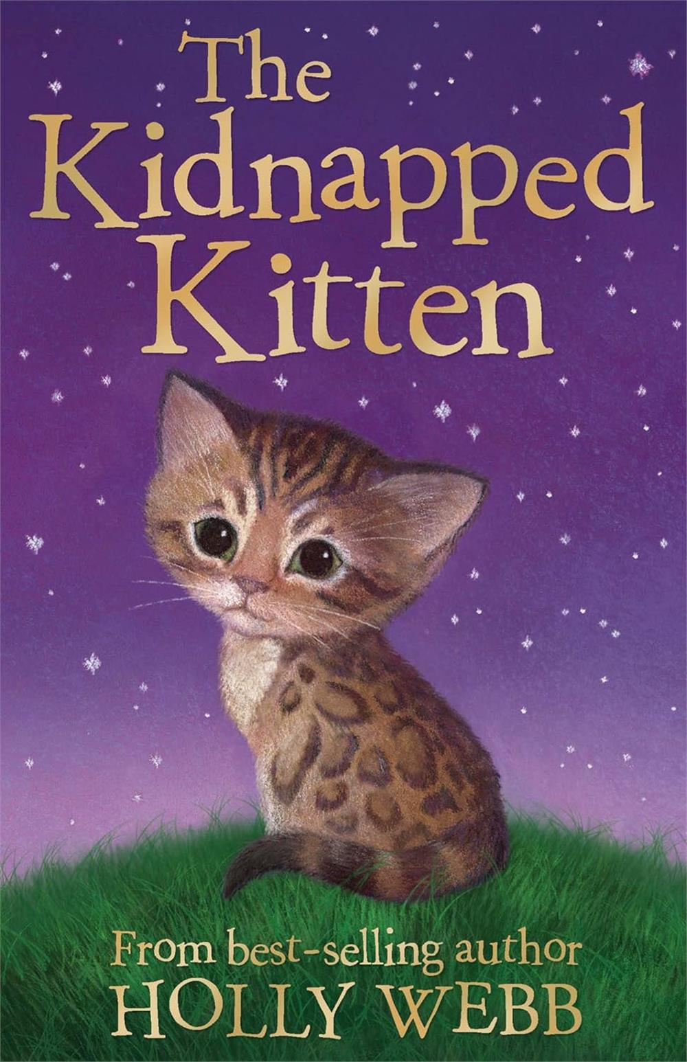 Holly Webb Animal Stories: The Kidnapped Kitten