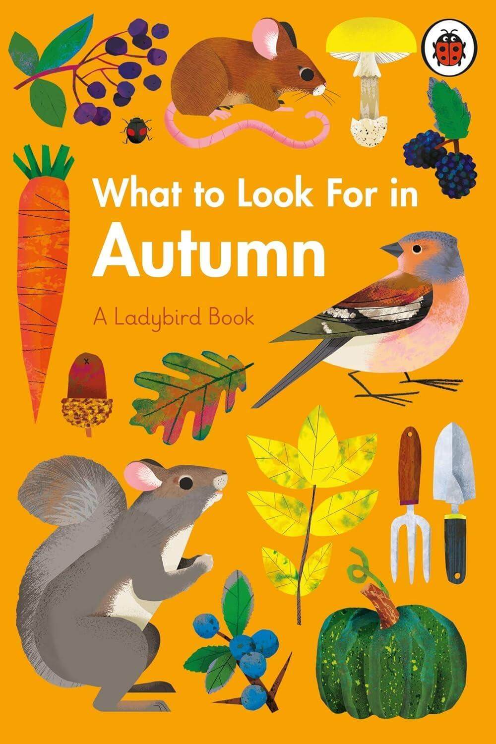 What to Look For in Autumn - 9780241416167 What to Look For in Autumn - 9780241416167 - 9780241416167