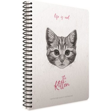  Gıpta Life Is Cool Defter Çizgili Kareli Sert Kapak 120 Yaprak 17X24 Cm | Gıpta | 8697236129241 | 