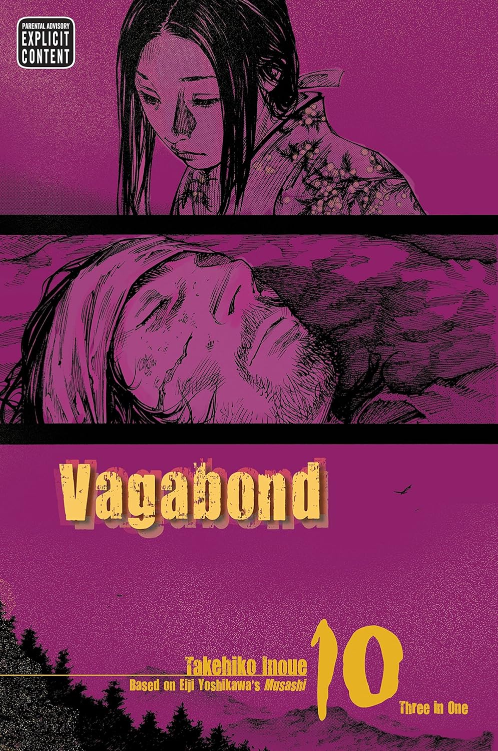 Vagabond Vizbig Edition Volume 10