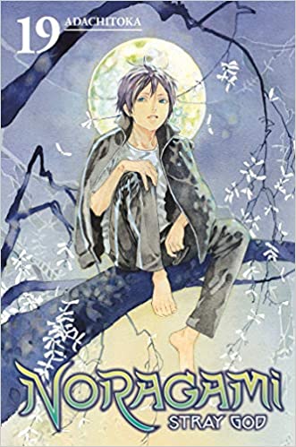 Noragami: Stray God 19