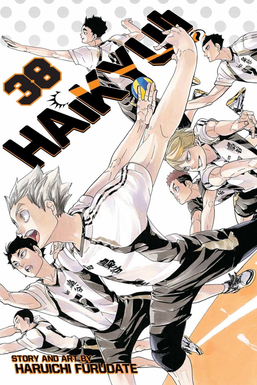  9781974712571 | Haikyu Vol 38 | Viz Media  