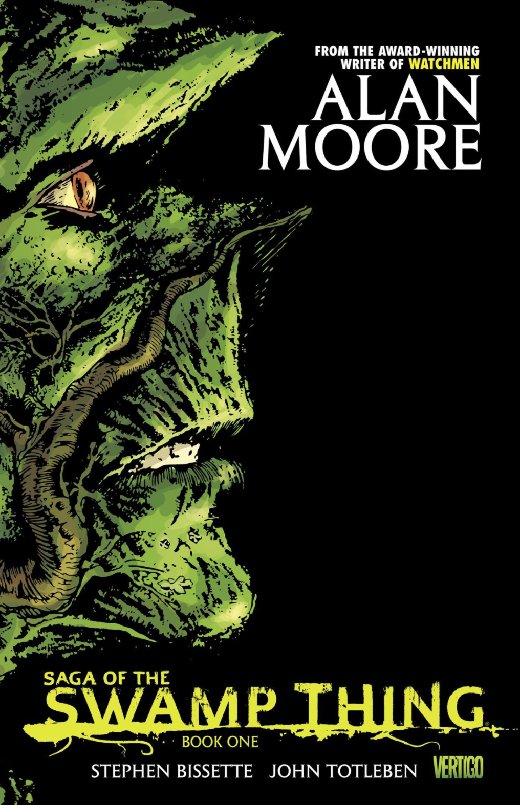  Saga of the Swamp Thing Book 1 | DC Comics | 9781401220839 | 