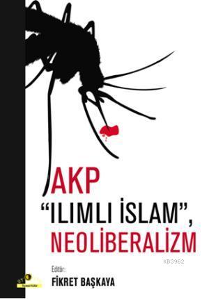 AKP, Ilımlı İslam, Neoliberalizm
