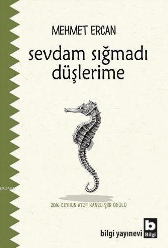 Sevdam Sığmadı Düşlerime