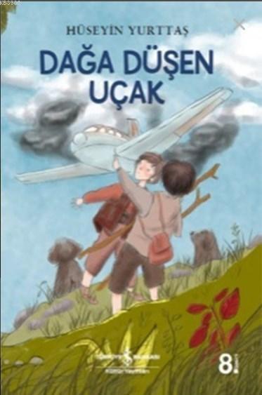 Dağa Düşen Uçak