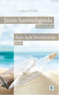 Şiirin Sınırsızlığında; Şiire Dalışlar