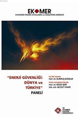 Enerji Güvenliği : Dünya ve Türkiye Paneli 2010