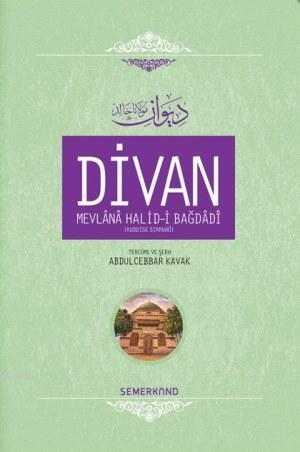 Divan Mevlânâ Halid-i Bagdâdî (Ciltli)