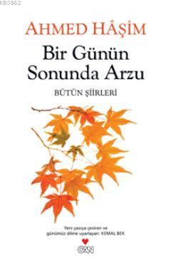 Bir Günün Sonunda Arzu