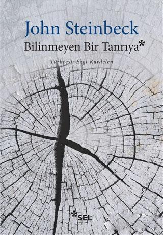 Bilinmeyen Bir Tanrıya