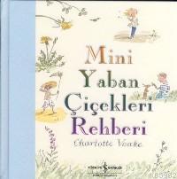 Mini Yaban Çiçekleri Rehberi