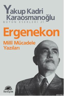 Ergenekon; Milli Mücadele Yazıları