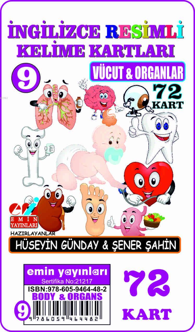 İngilizce 09.Vücut ve Organlar / Resimli Kelime Kartları 72-Kart