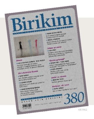 Birikim Sayı 380 - Aralık