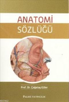 Anatomi Sözlüğü