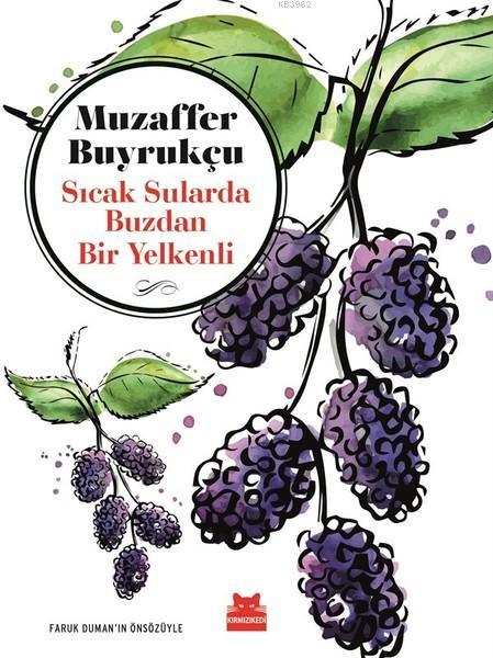 Sıcak Sularda Buzdan Bir Yelkenli; Faruk Duman'ın Önsözüyle