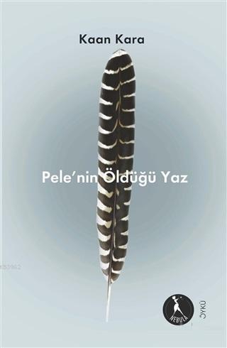 Pele'nin Öldüğü Yaz