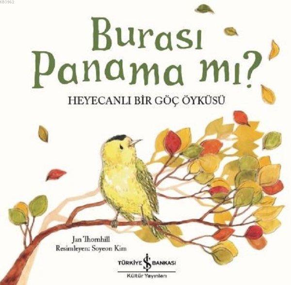 Burası Panama mı? Heyecanlı Bir Göç Öyküsü