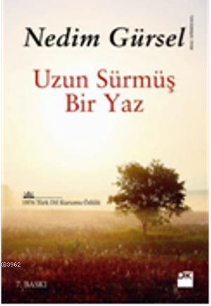 Uzun Sürmüş Bir Yaz