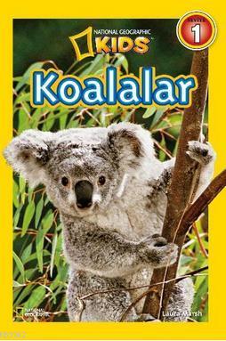 Koalalar-Seviye 1