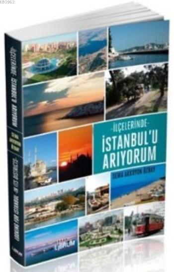 İlçelerinde İstanbul'u Arıyorum