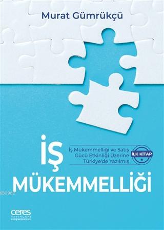 İş Mükemmelliği; İş Mükemmelliği ve Satış Gücü Etkinliği Üzerine Türkiye'de Yazılmış İlk Kitap