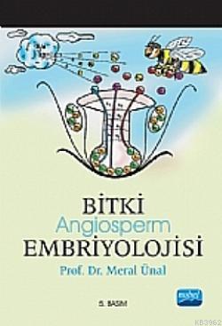 Bitki Embriyolojisi Angiosperm