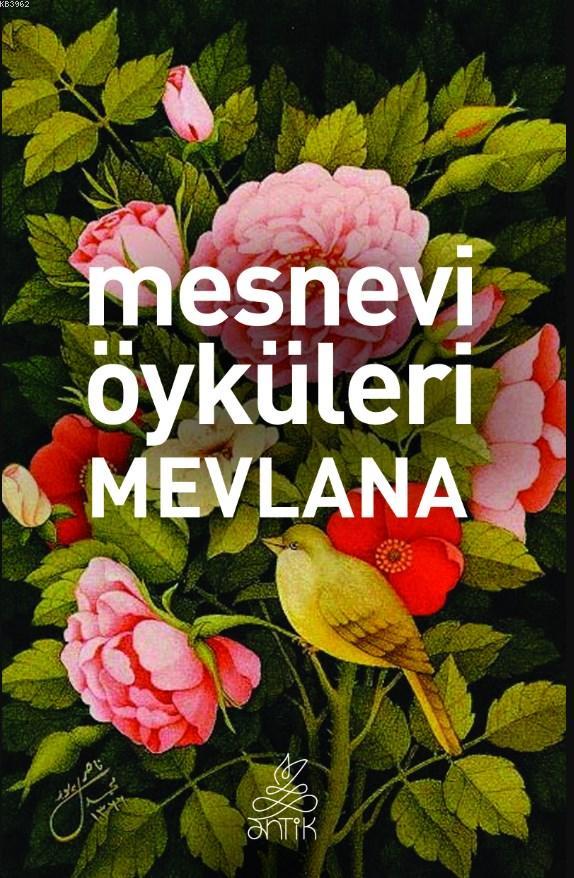 Mesnevi Öyküleri Mevlana