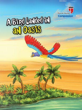 A Bird Landed in an Oasis - Compassion; Stories with the Phoenix