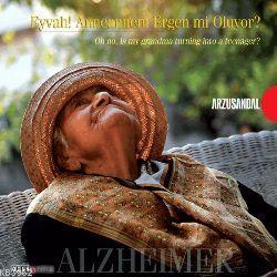 Alzheimer (Albüm Kitap); Eyvah! Anneannem Ergen mi Oluyor?
