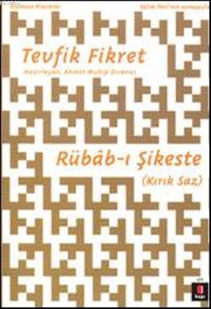 Rübâb-ı Şikeste; Kırık Saz