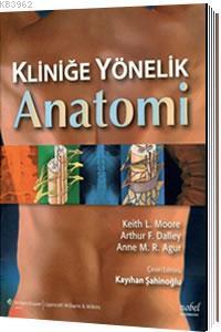 Moore Kliniğe Yönelik Anatomi
