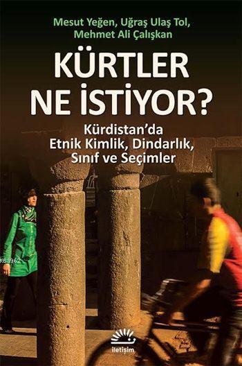 Kürtler Ne İstiyor?; Kürdistan'da Etnik Kimlik, Dindarlık, Sınıf ve Seçimler