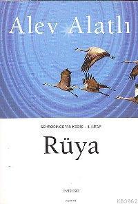 Rüya; Schrödınger'in Kedisi 2. Kitap