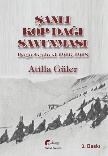 Şanlı Kop Dağı Savunması,  Doğu Cephesi, 1916-1918