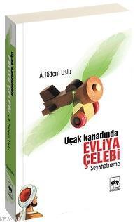 Uçak Kanadında Evliya Çelebi