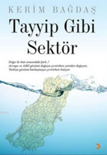 Tayyip Gibi Sektör