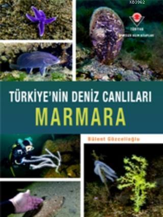 Marmara - Türkiye'nin Deniz Canlıları Ciltli