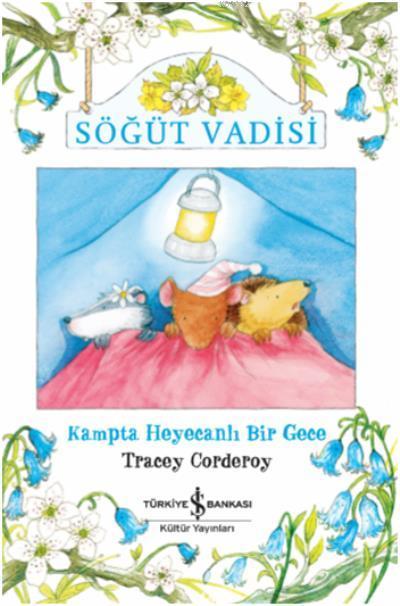 Söğüt Vadisi; Kampta Heyecanlı Bir Gece