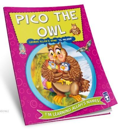 Pico the Owl Learns Allah's Name Al Mujeeb