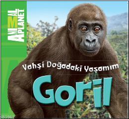 Vahşi Doğadaki Yaşamım - Goril