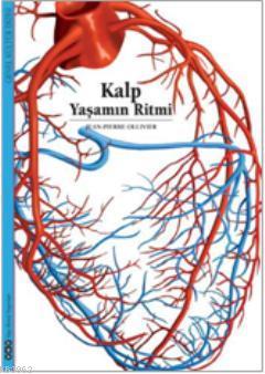 Kalp Yaşamın Ritmi