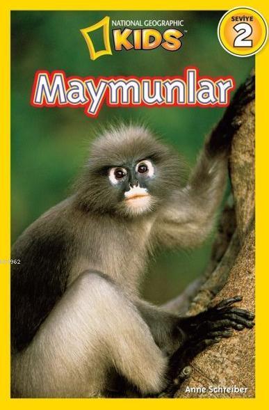 Maymunlar